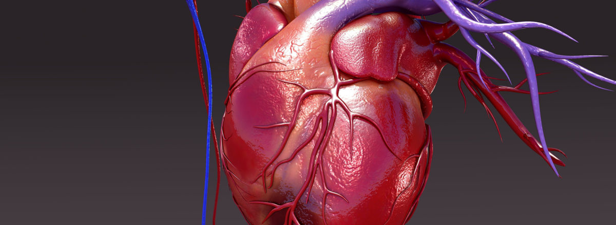 Cardiopatías congénitas